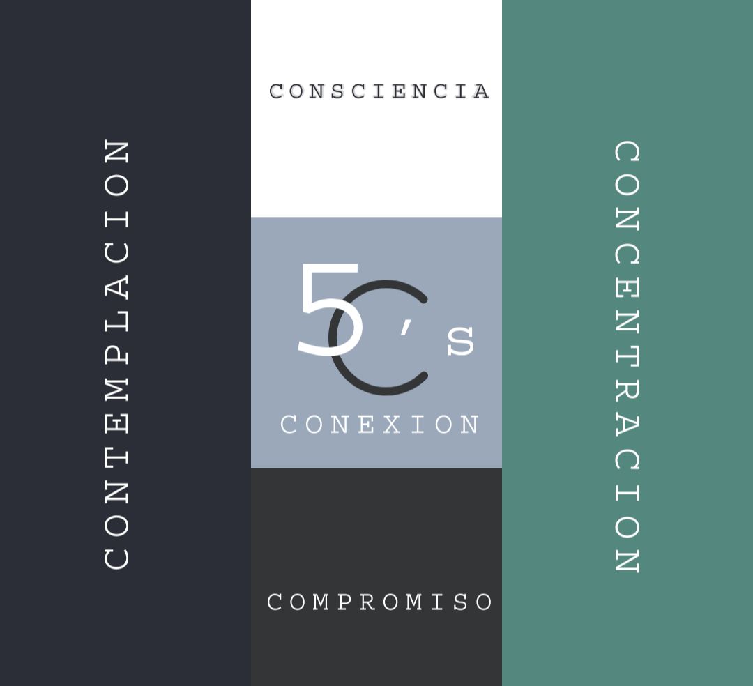 RESET 25.0 Intro al Mindfulness y Meditación.